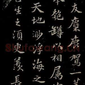 北宋 苏轼《赤壁赋之八》毛笔书法作品图片欣赏