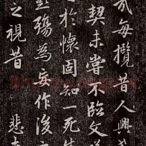 元代 赵孟頫 行书《兰亭序十三跋及临本 之五》毛笔书法行书作品图片欣赏
