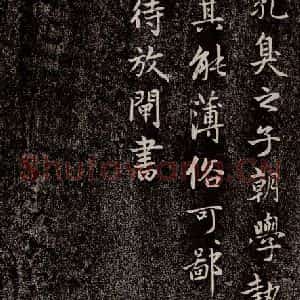 元代 赵孟頫 行书《兰亭序十三跋及临本 之二十一》毛笔书法行书作品图片欣赏