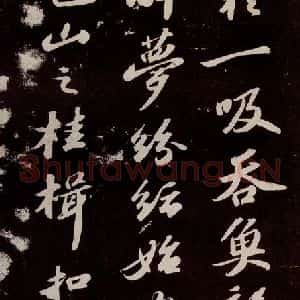 宋代 苏轼 行书《洞庭春色赋 之八》毛笔书法行书作品图片欣赏