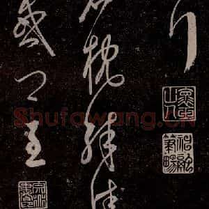 元代 杨遵《临汉晋唐五帖 之六》毛笔书法作品图片欣赏