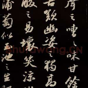宋代 苏轼 草书《中山松醪赋并跋 之五》毛笔书法草书作品图片欣赏