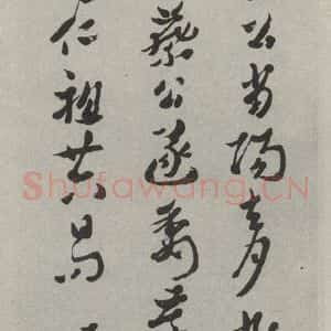 民国 沈曾植 草书《草书轴》毛笔书法草书作品图片欣赏