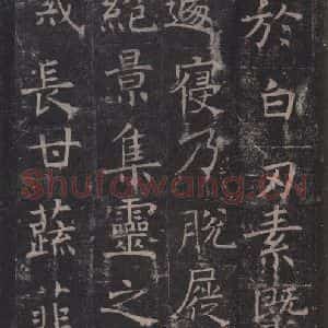 唐代 褚遂良 楷书《孟法师碑 之十》毛笔书法楷书作品图片欣赏