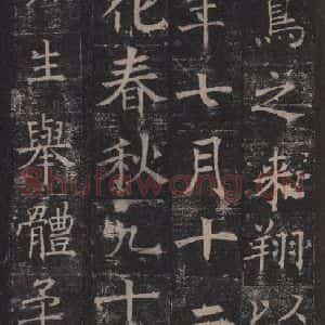 唐代 褚遂良 楷书《孟法师碑 之十九》毛笔书法楷书作品图片欣赏