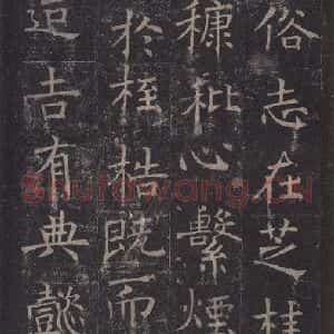 唐代 褚遂良 楷书《孟法师碑 之八》毛笔书法楷书作品图片欣赏