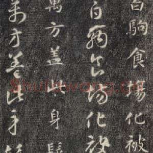 隋代 智永 楷草书《关中本千字文 之八》毛笔书法楷草书作品图片欣赏