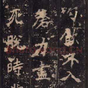北魏 楷书《张猛龙碑 之二十三》毛笔书法楷书作品图片欣赏