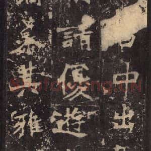北魏 楷书《张猛龙碑 之二十五》毛笔书法楷书作品图片欣赏