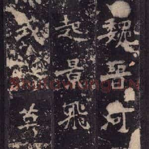 北魏 楷书《张猛龙碑 之三十九》毛笔书法楷书作品图片欣赏