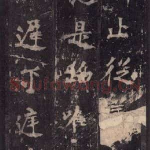 北魏 楷书《张猛龙碑 之四十》毛笔书法楷书作品图片欣赏