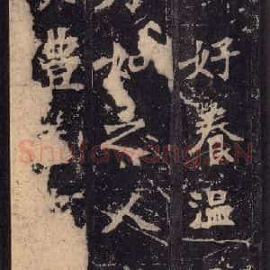 北魏 楷书《张猛龙碑 之四十三》毛笔书法楷书作品图片欣赏