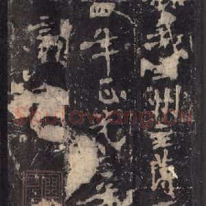 北魏 楷书《张猛龙碑 之五十二》毛笔书法楷书作品图片欣赏