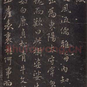 唐代 褚遂良 楷书《古树赋·哀册 之一》毛笔书法楷书作品图片欣赏