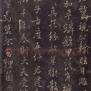 唐代 褚遂良 楷书《古树赋·哀册 之三》毛笔书法楷书作品图片欣赏