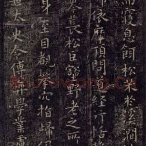 唐代 虞世南 楷书《破邪论序 之五》毛笔书法楷书作品图片欣赏