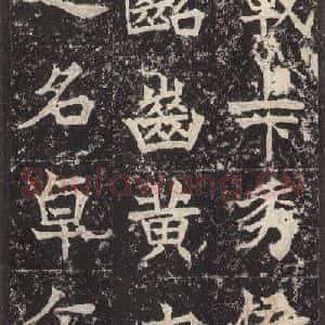 北魏 楷书《高贞碑 之十八》毛笔书法楷书作品图片欣赏