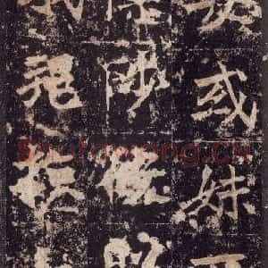 北魏 楷书《高贞碑 之五十一》毛笔书法楷书作品图片欣赏