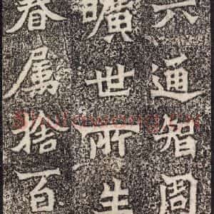 北魏 楷书《魏灵藏薛法绍造像记 之十二》毛笔书法楷书作品图片欣赏