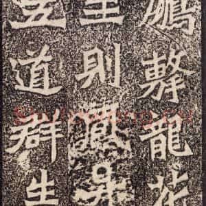 北魏 楷书《魏灵藏薛法绍造像记 之十三》毛笔书法楷书作品图片欣赏