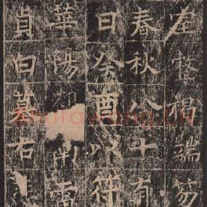 唐代 王玄宗 楷书《王洪范碑 之四十四》毛笔书法楷书作品图片欣赏