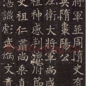 唐代 颜真卿 楷书《王琳墓志 之三》毛笔书法楷书作品图片欣赏