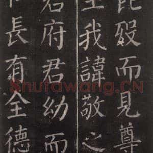 唐代 颜真卿 楷书《郭家庙碑 忠义堂本之十六》毛笔书法楷书作品图片欣赏
