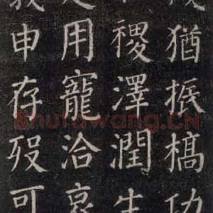 唐代 颜真卿 楷书《郭家庙碑 忠义堂本之二十九》毛笔书法楷书作品图片欣赏