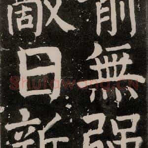 唐代 颜真卿 正书《八关斋功德记 之五十一》毛笔书法正书作品图片欣赏