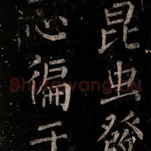 唐代 颜真卿 楷书《乞题放生池额表 之十三》毛笔书法楷书作品图片欣赏