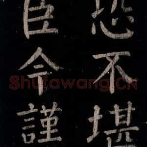 唐代 颜真卿 楷书《乞题放生池额表 之二十五》毛笔书法楷书作品图片欣赏