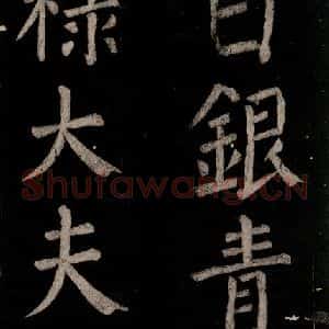 唐代 颜真卿 楷书《乞题放生池额表 之四十》毛笔书法楷书作品图片欣赏