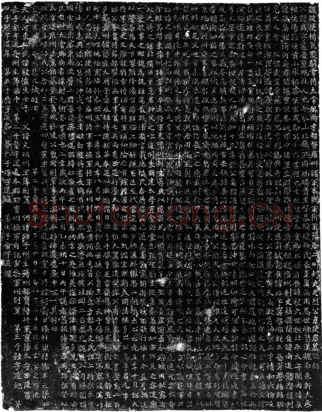 北朝韦彧墓誌(魏故使持节散骑常侍太常卿尚书都督雍州诸军事抚军将军豫雍二州刺史文烈公韦使君墓誌铭)