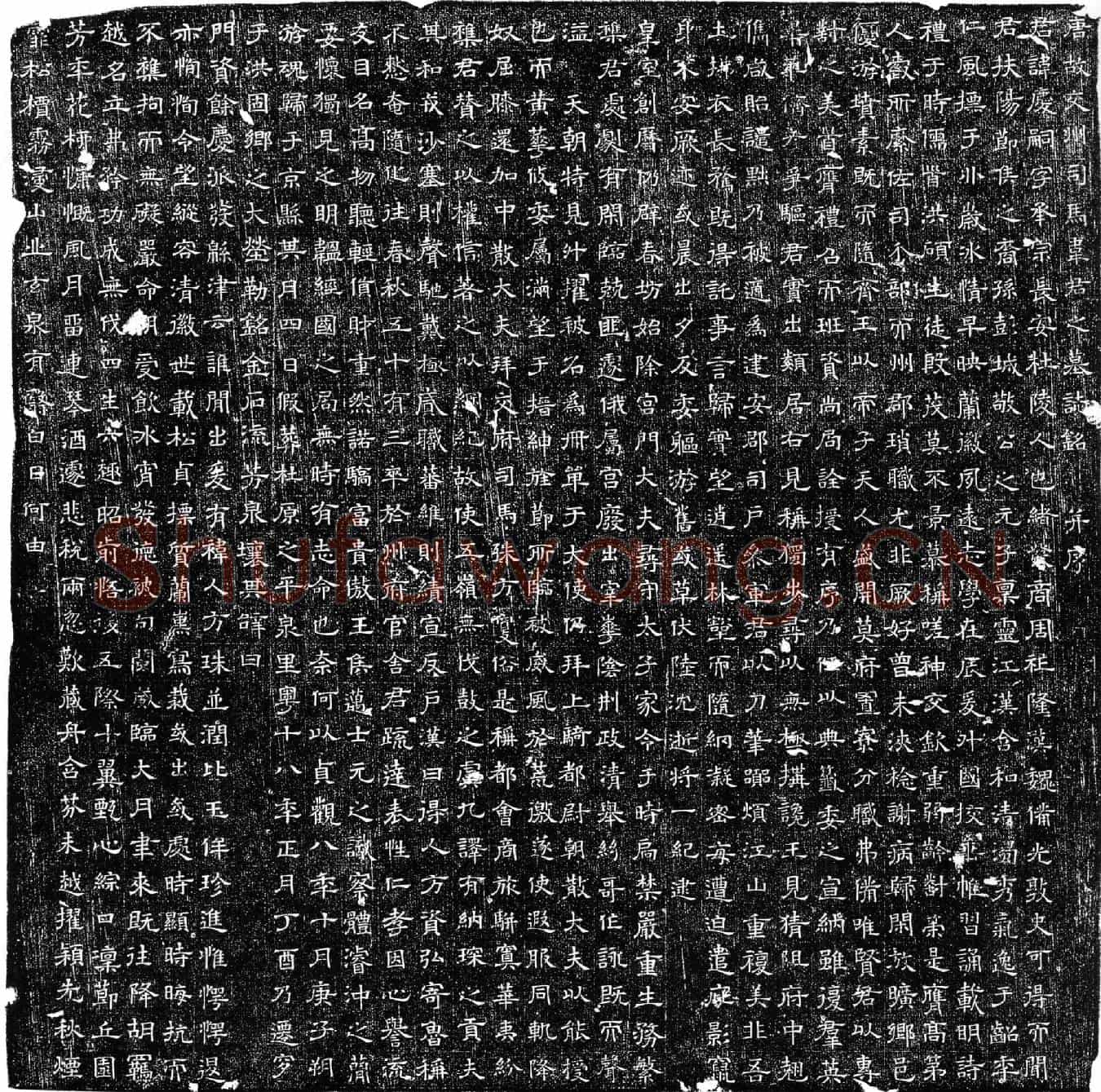 唐韦庆嗣墓誌(唐故交州司马韦君之墓誌铭并序)