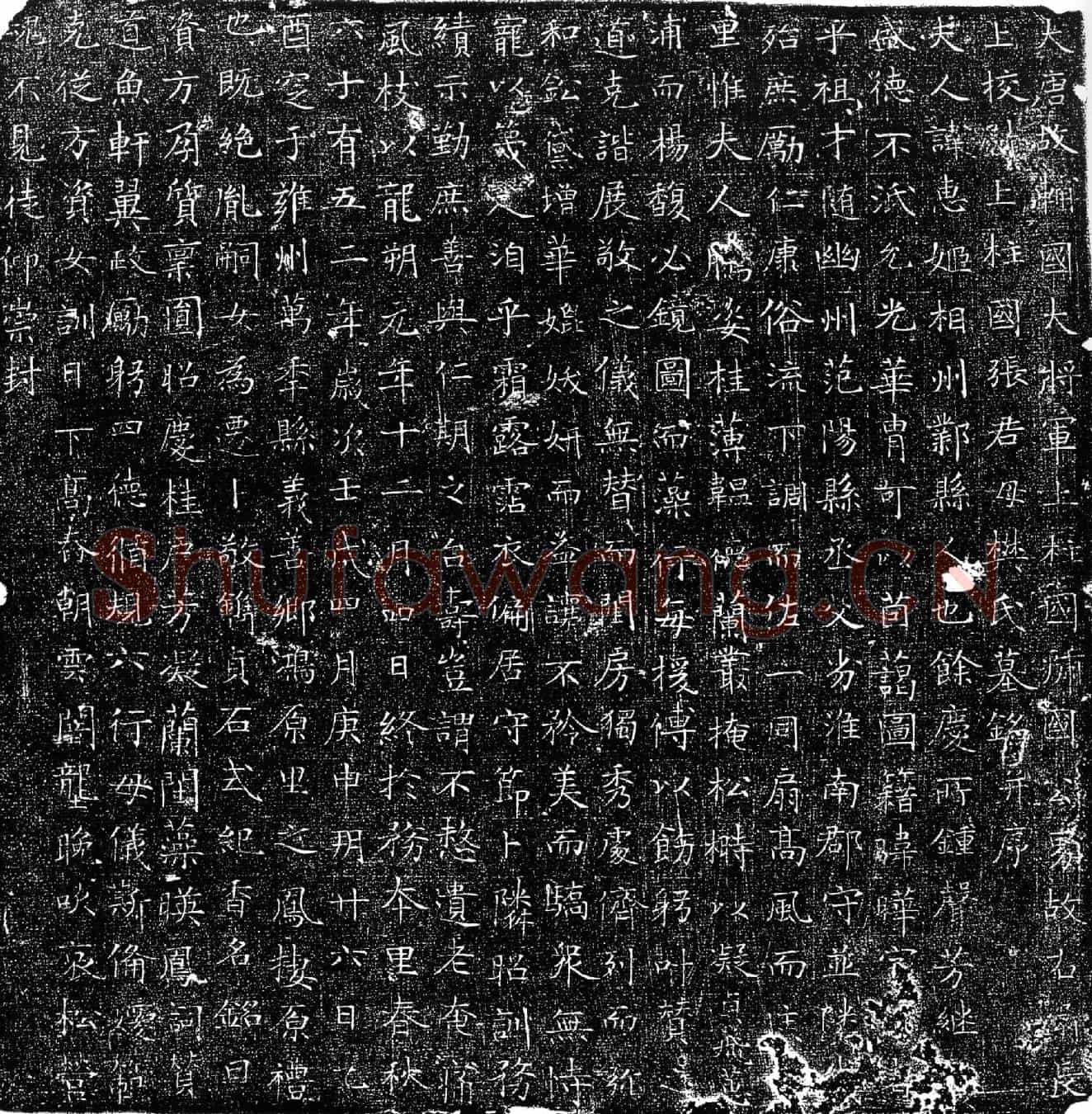 唐樊惠姬墓誌(大唐故辅国大将军上柱国虢国公男故右卫长上校尉上柱国张君母樊氏墓铭并序)