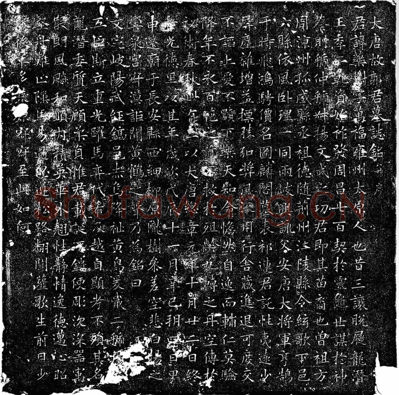 唐郭药树墓誌(大唐故郭君墓誌铭并序)