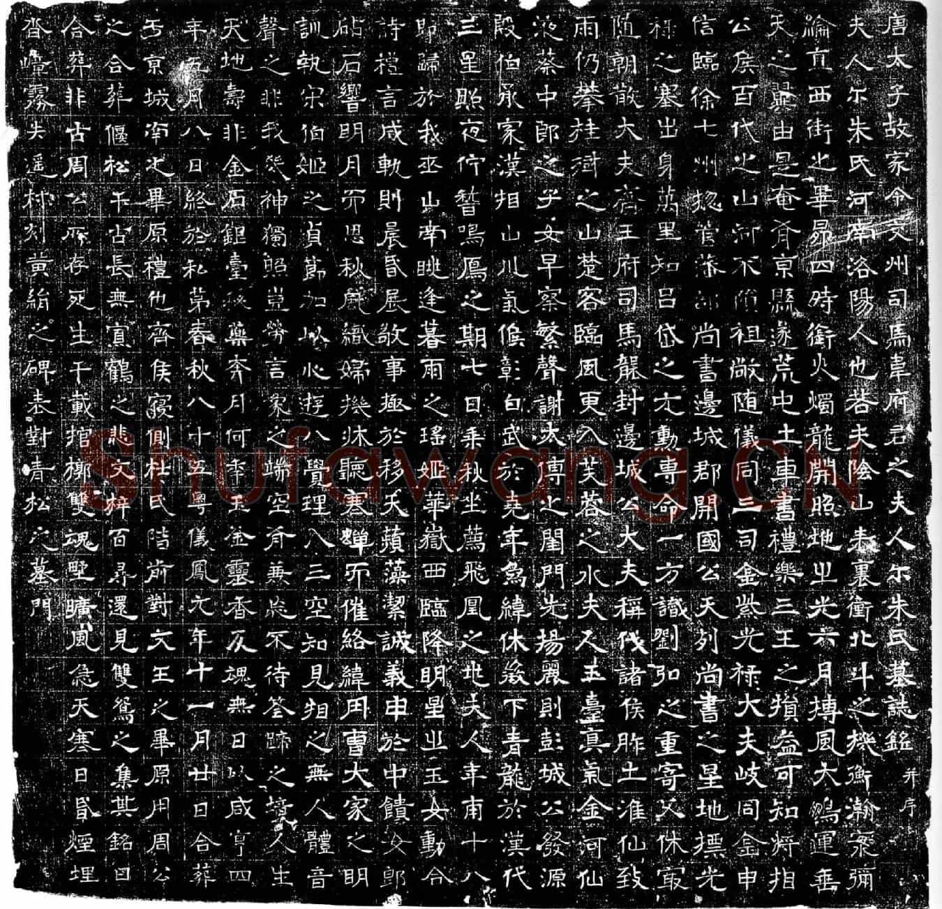 唐韦府君夫人尔朱氏墓誌(唐太子故家令交州司马韦府君之夫人尔朱氏墓誌铭并序)
