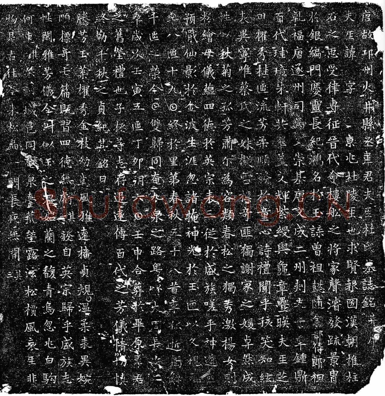唐韦君夫人杜氏墓誌(唐故邛州火井县丞韦君夫人杜氏墓誌铭并序)
