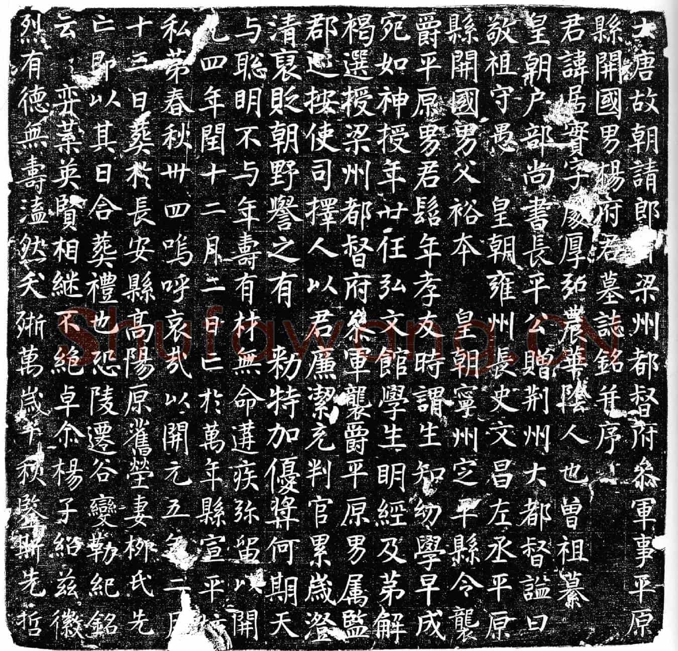 唐杨居实墓誌(大唐故朝请郎□梁州都督府参军事平原县开国男杨府君墓誌铭并序)