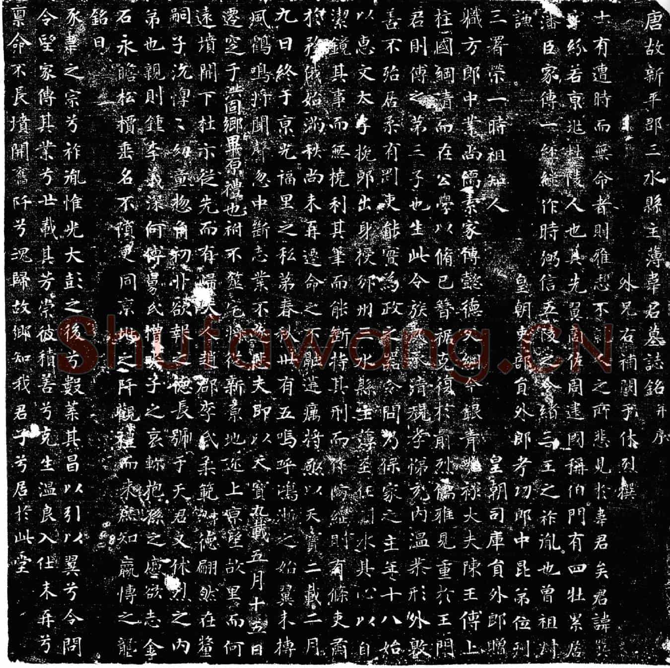 唐韦巽墓誌(唐故新平郡三水县主簿韦君墓誌铭并序)