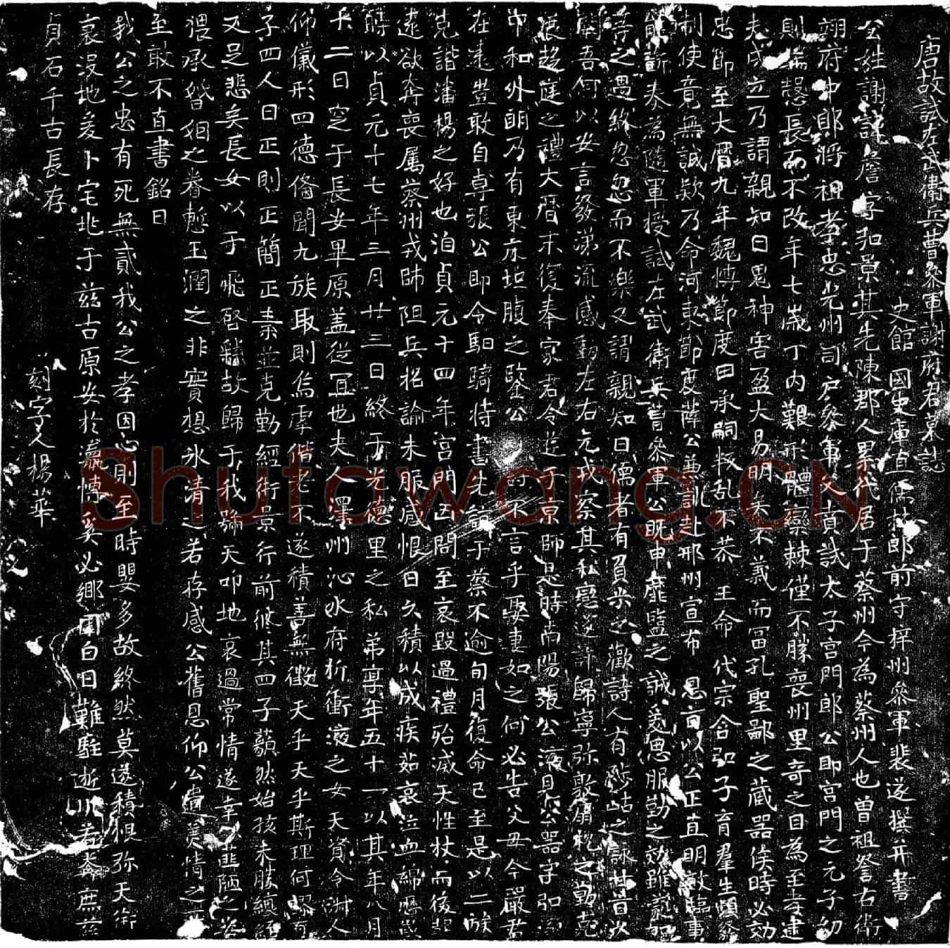 唐谢詹墓誌(唐故试左武卫兵曹参军谢府君墓誌)