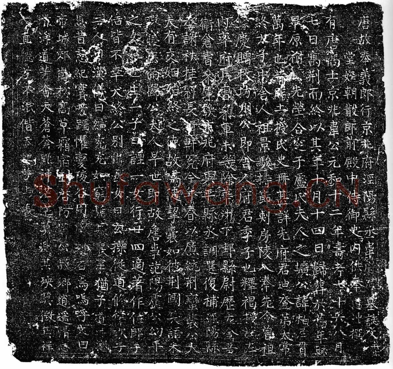 唐韦柏仁墓誌(唐故奉义郎行京兆府泾阳县丞韦府君墓誌文并序)