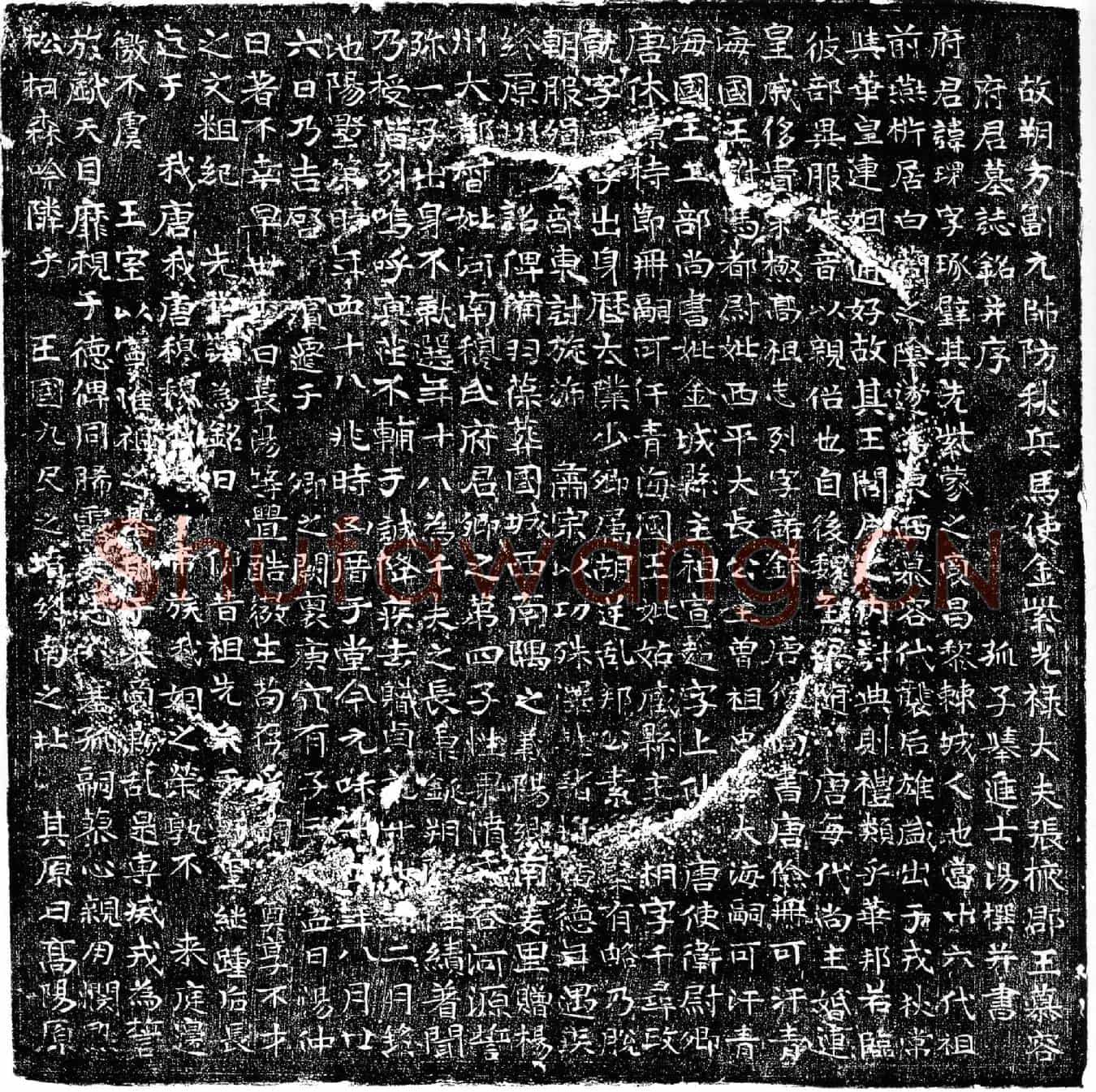 唐慕容环墓誌(故朔方副元帅防秋兵马使金紫光禄大夫张掖郡王慕容府君墓誌铭并序)