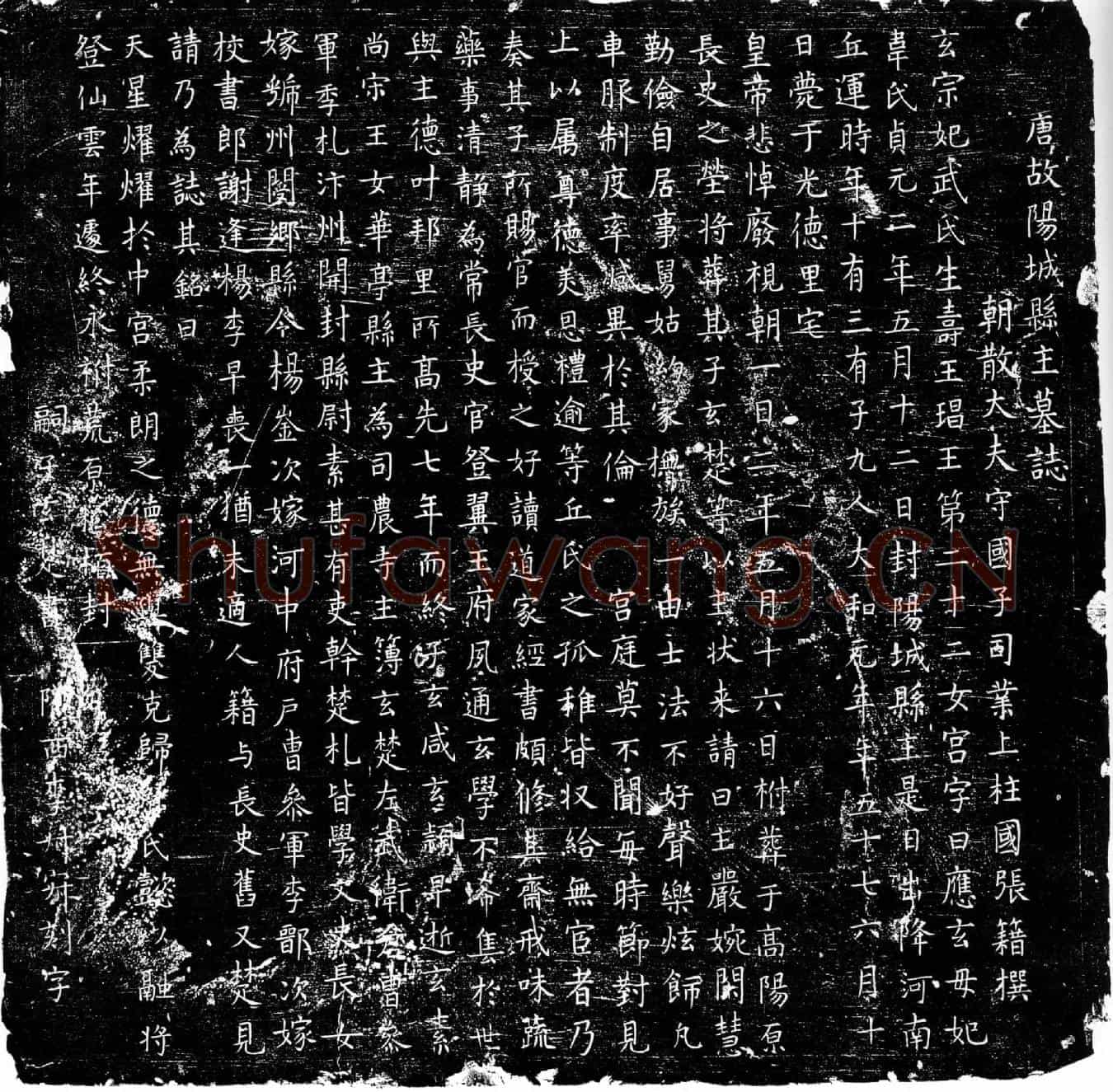 唐李应玄墓誌(唐故阳城县主墓誌)
