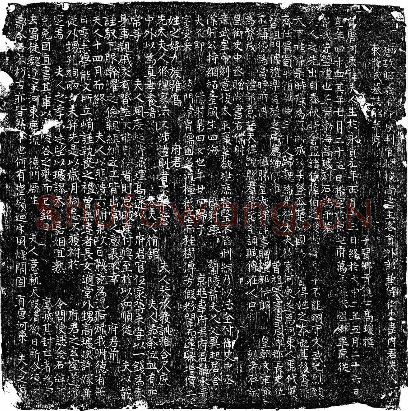 唐韦承素夫人薛氏墓誌(唐故昭义军节度判官检校尚书主客员外郎兼侍御史韦府君夫人河东薛氏墓誌铭并序)