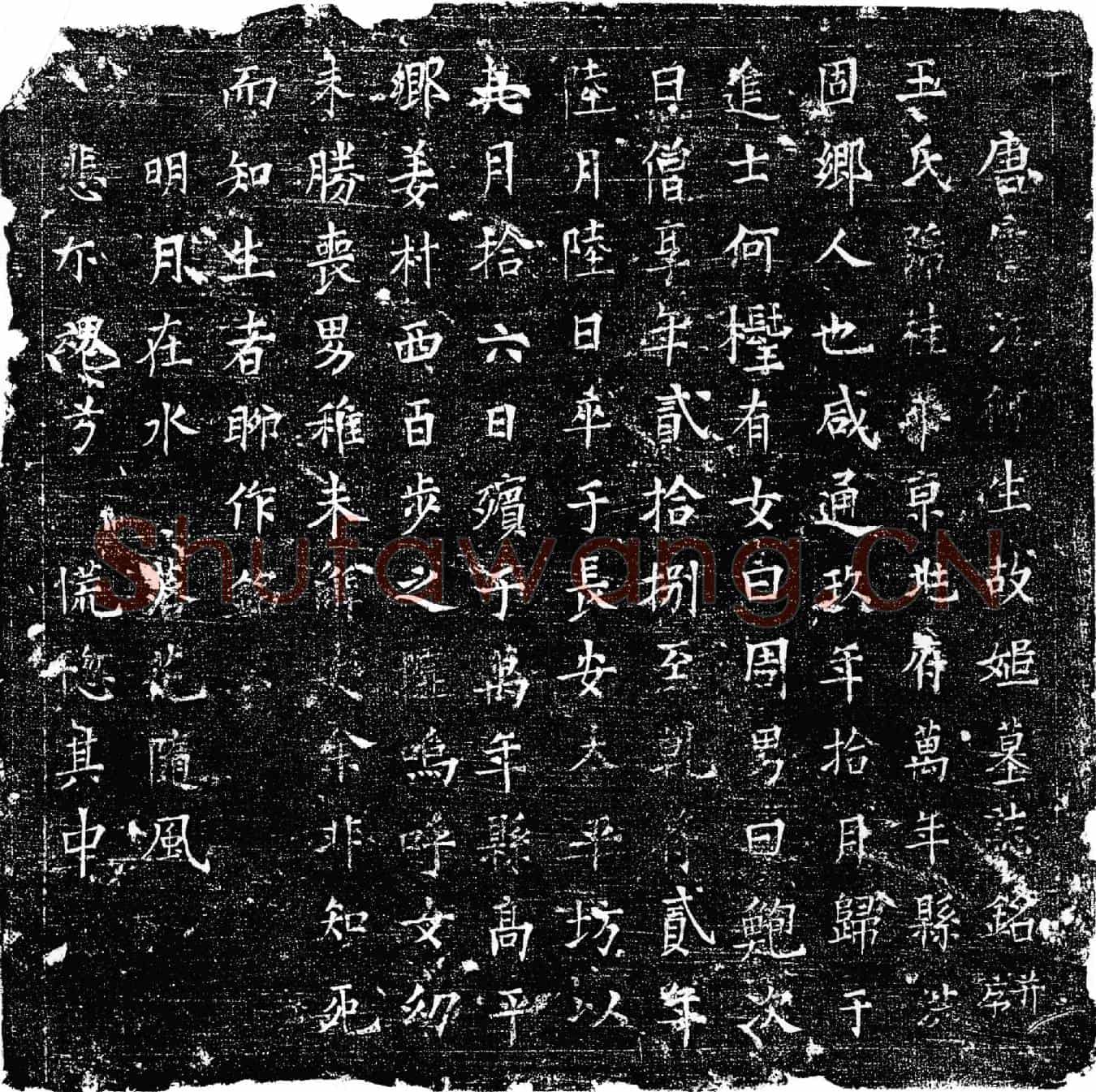 唐墓誌(唐庐江何生故姬墓誌铭并序)