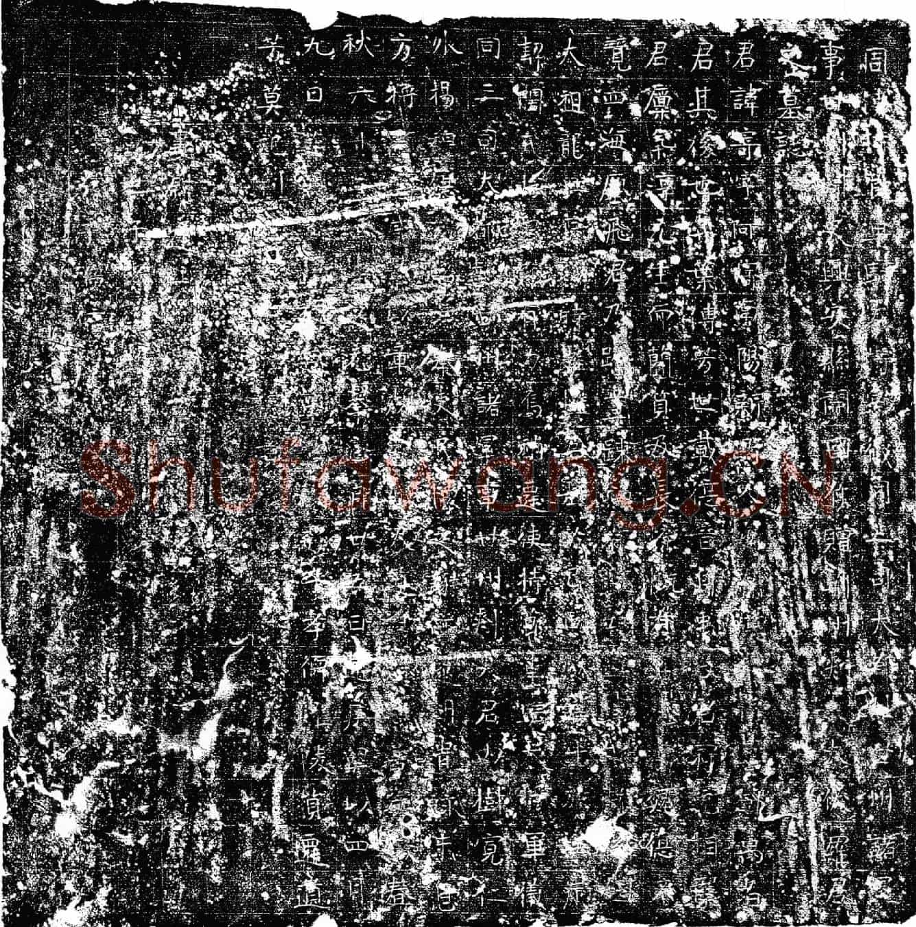 唐罗寄墓誌(周使持节车骑大将军仪同三司大都督甘州诸军事甘州刺史兴安县开国侯赠□州刺史太□罗君之墓誌)