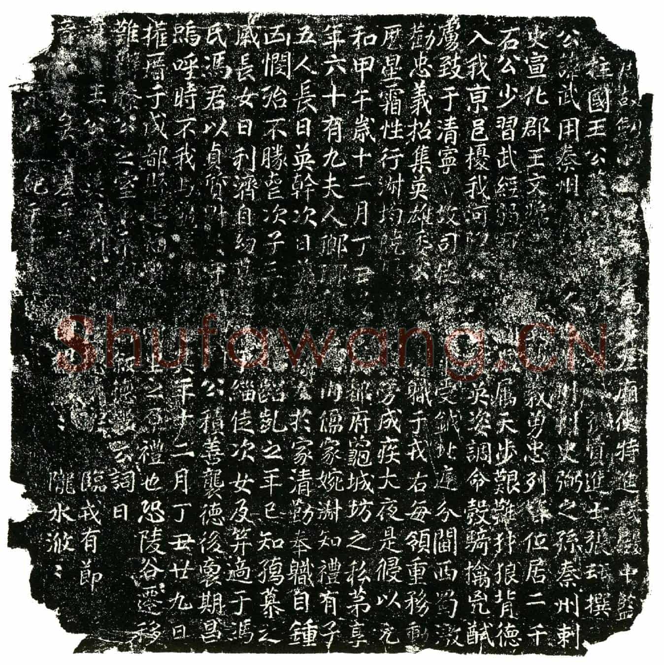 唐王武用墓誌(唐故剑南西□□□马步左厢使特进试殿中监□（上）╱柱国王公墓誌铭)
