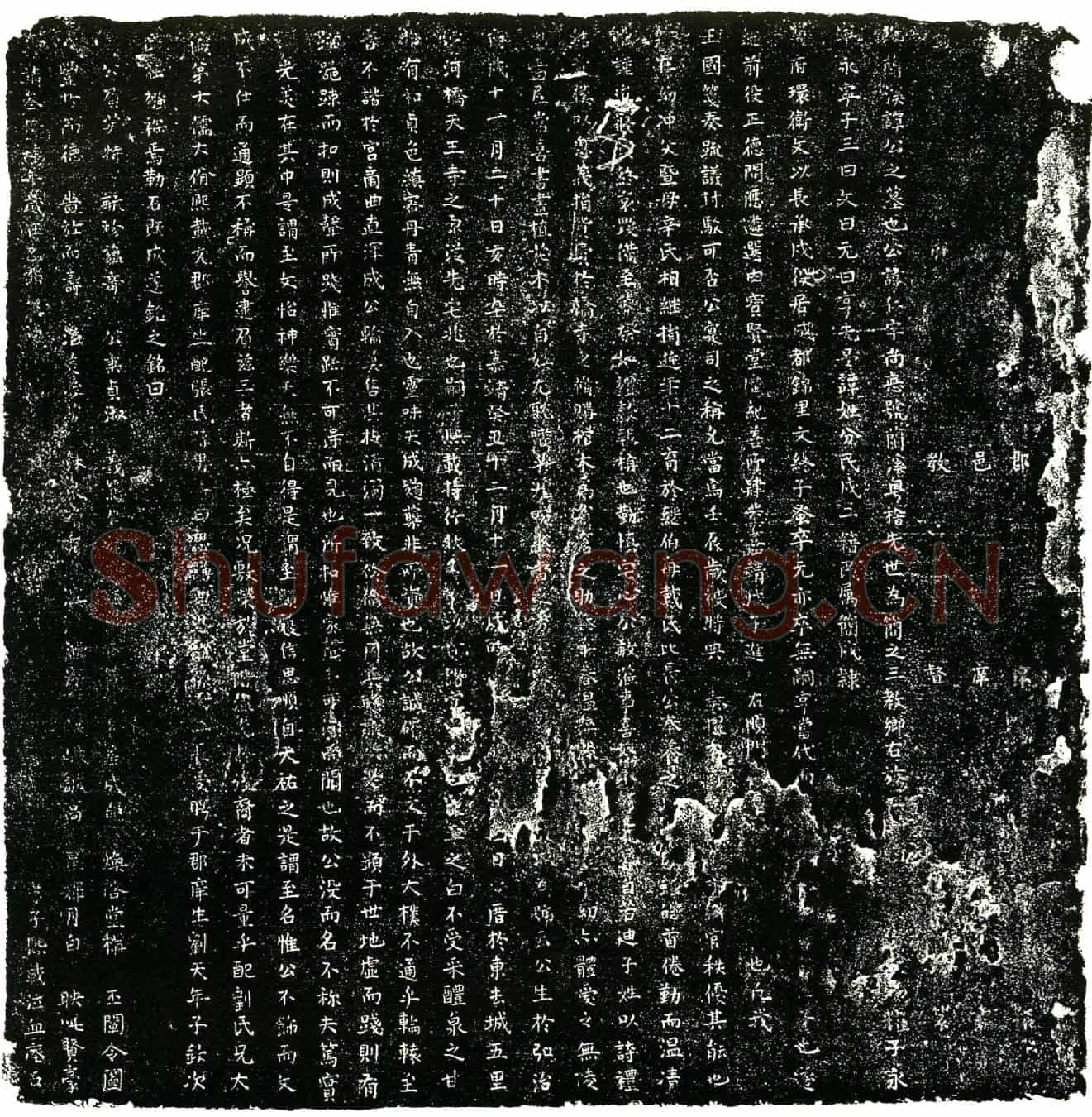 明谭仁，字尚德，号兰溪。墓誌(□故恩（下缺）          （上缺）郡庠（下缺）□          （上缺）邑庠（下缺）书          （上缺）教督（下缺）篆)