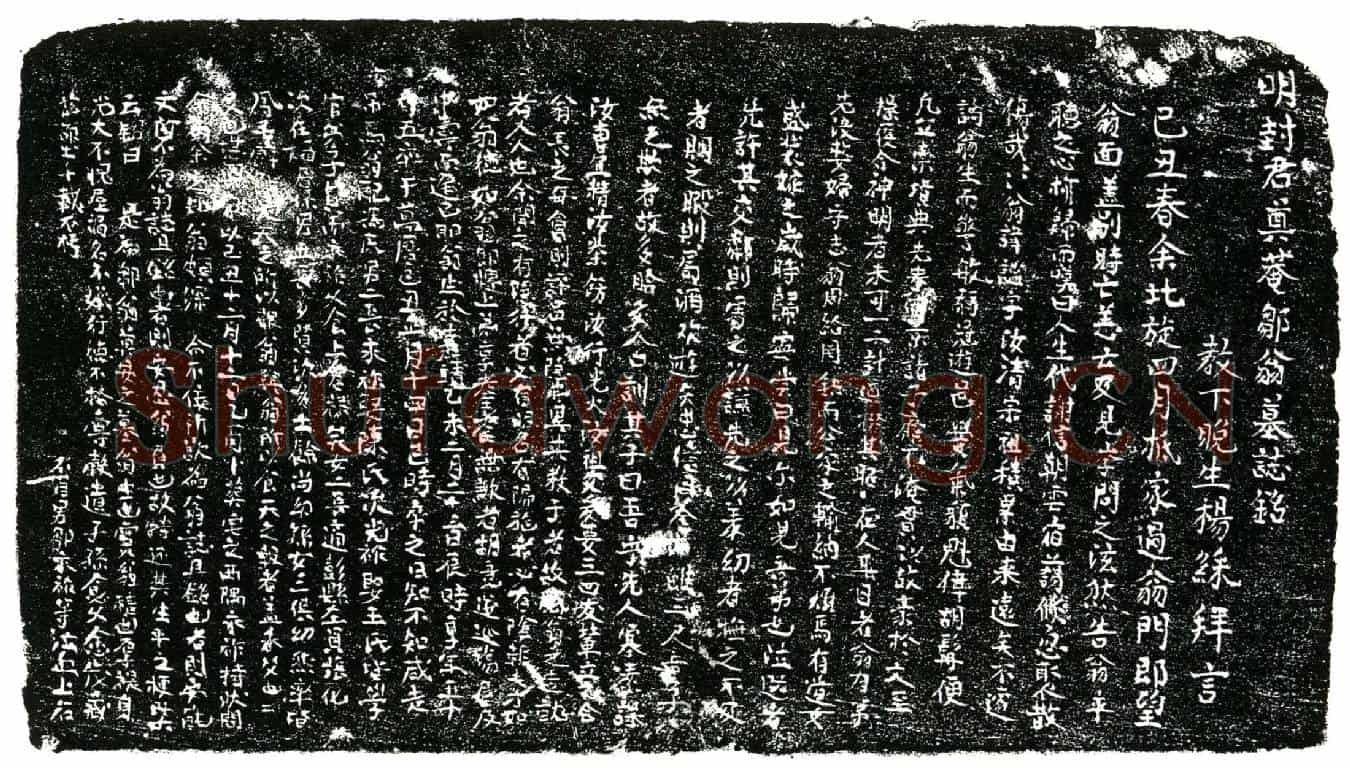 明邹翁，讳谧，字汝清墓誌(明封君奠菴邹翁墓誌铭╱          教下晚生杨綵拜言╱)